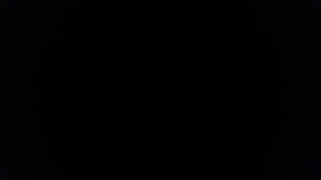 palidin1 online show from June 2026 07:42:02 PM