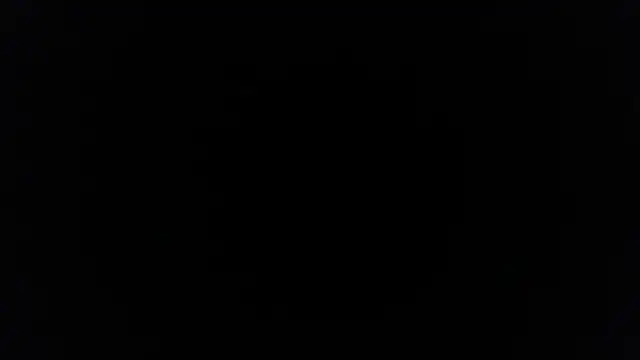 Snapshot of palidin1 chatting on December 2025 07:45:01 PM palidin1 online show from December 2025 07:45:01 PM