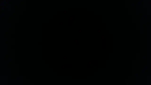 Snapshot of palidin1 chatting on November 2025 01:16:01 AM palidin1 online show from November 2025 01:16:01 AM