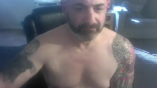 Snapshot of palidin1 chatting on February 2026 08:15:01 PM palidin1 online show from February 2026 08:15:01 PM