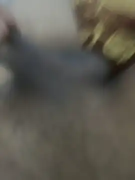 HHHHHxxn online show from March 2026 05:29:02 AM