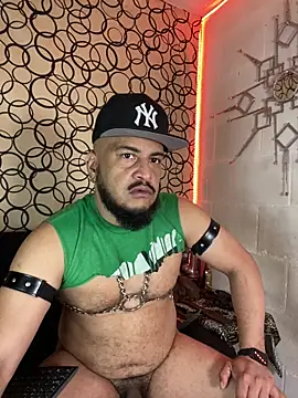 the master foal  online show from February 2026 07:03:02 PM