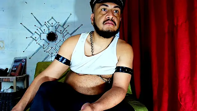 the master foal  online show from November 2025 11:10:02 AM