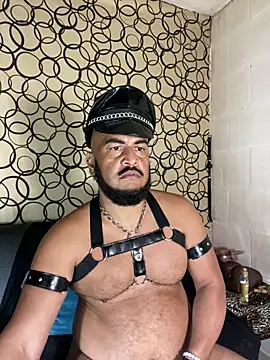 the master foal  online show from March 2026 08:49:02 AM