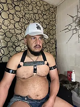 the master foal  online show from March 2026 07:19:01 PM