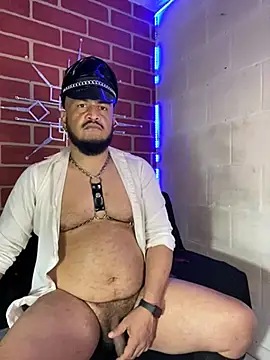 the master foal  online show from February 2026 04:48:01 AM