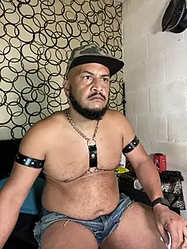 the master foal  online show from April 2026 07:16:02 AM