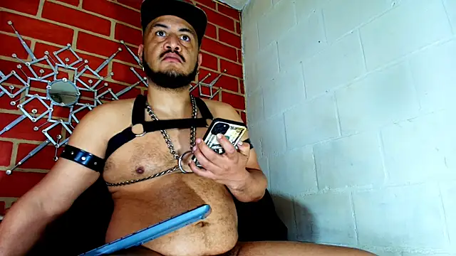 the master foal  online show from October 2025 07:13:02 PM