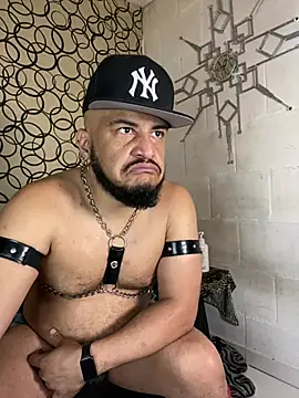 the master foal  online show from March 2026 12:43:01 PM