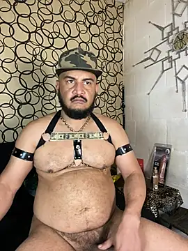 the master foal  online show from March 2026 11:41:01 PM