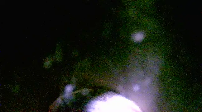 h0ney lips online show from March 2025 01:18:01 PM