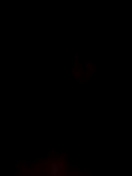 kingdennis6666 online show from November 2025 03:34:01 AM