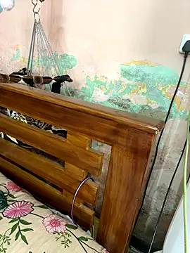 falooda288 online show from October 2025 08:35:02 AM