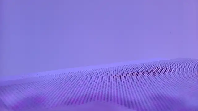 shelsyloreds online show from November 2025 11:54:01 AM