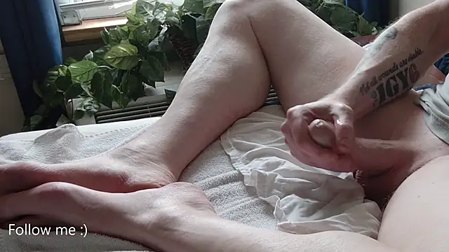 American Dad online show from September 2025 08:37:01 PM