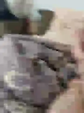 Snapshot of Yaramaz331 chatting on March 2025 10:29:02 AM Yaramaz331 online show from March 2025 10:29:02 AM