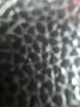 WhiteMeat069 online show from April 2026 08:14:02 PM