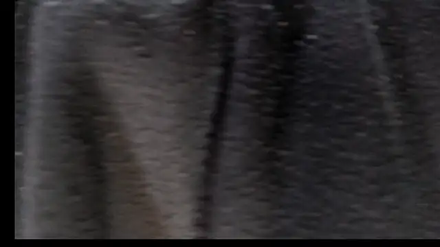 Snapshot of Justin_Frank chatting on February 2026 05:03:01 PM Justin Frank online show from February 2026 05:03:01 PM