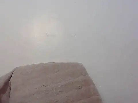 Snapshot of wild_amber25 chatting on November 2025 08:14:01 AM wild amber25 online show from November 2025 08:14:01 AM