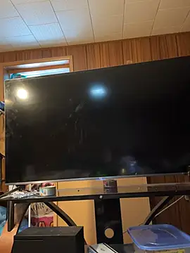 Mini And The Bear online show from March 2026 03:02:02 PM