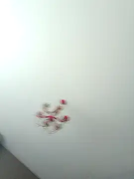 ClubbyEuphory online show from February 2026 01:40:01 PM