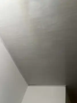 Juliana News online show from November 2025 04:51:02 PM