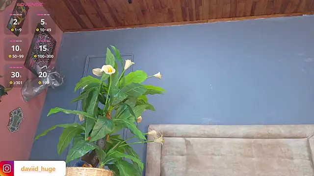 nicol snow online show from January 2026 01:25:02 PM