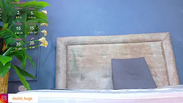 nicol snow online show from January 2026 01:51:01 PM