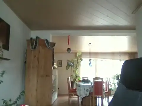 Snapshot of Nobbie444 chatting on December 2025 11:38:02 AM Nobbie444 online show from December 2025 11:38:02 AM