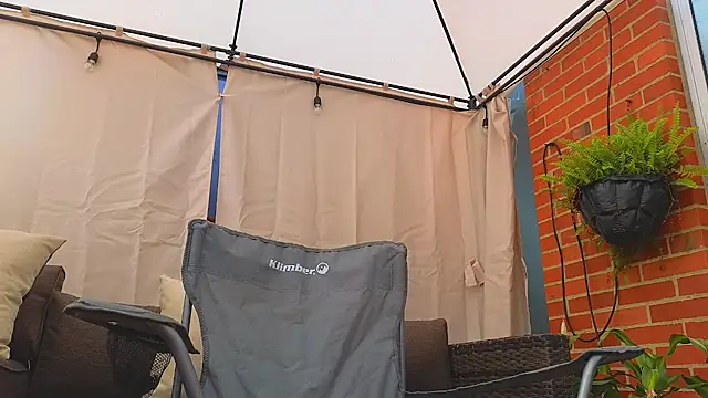 samantha bss online show from December 2025 02:52:02 PM