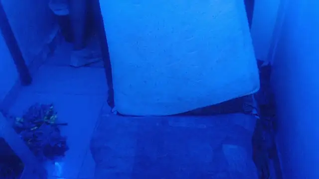 selenax2023 online show from February 2026 11:04:01 PM