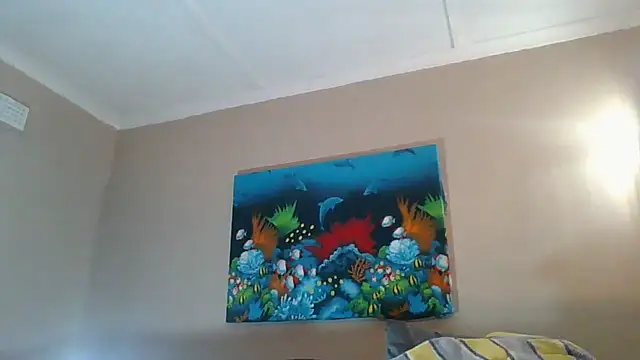 xykenrahxh online show from November 2025 08:02:01 PM