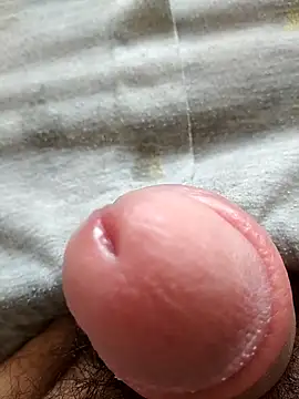 encantajpdo online show from April 2026 02:25:02 PM