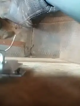 Snapshot of Royalk2030 chatting on February 2026 10:57:02 AM Royalk2030 online show from February 2026 10:57:02 AM