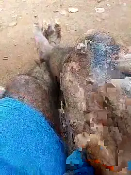 Snapshot of Royalk2030 chatting on February 2026 06:35:01 AM Royalk2030 online show from February 2026 06:35:01 AM