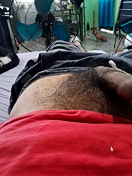 Galex083 online show from October 2025 04:29:02 PM