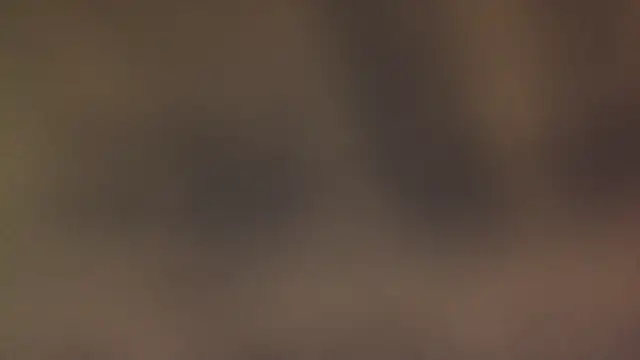 leccaleccafiga online show from March 2026 06:45:01 PM