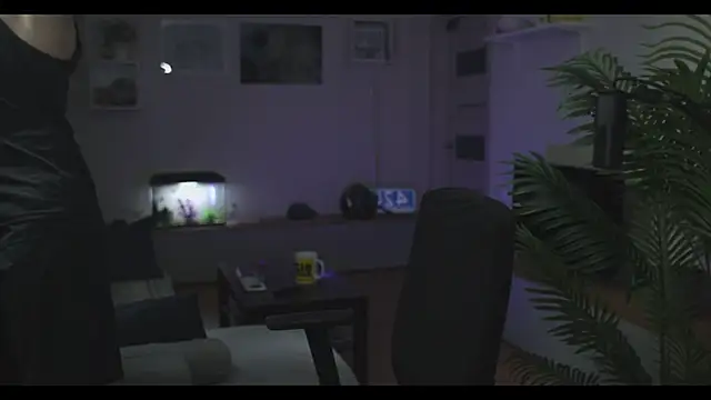 kevin-park online show from December 2024 07:46:02 PM