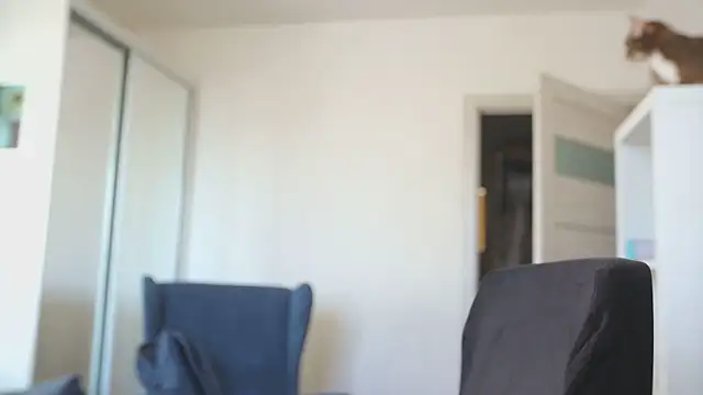 kevin-park online show from February 2026 08:14:01 AM