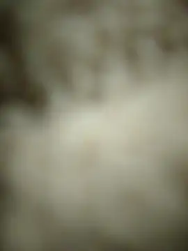 Snapshot of landy20cm chatting on May 2026 08:22:02 AM landy20cm online show from May 2026 08:22:02 AM