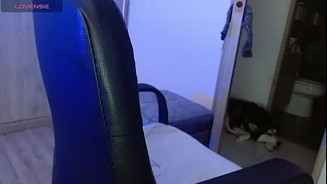 Meghan stonne  online show from February 2026 04:29:02 PM