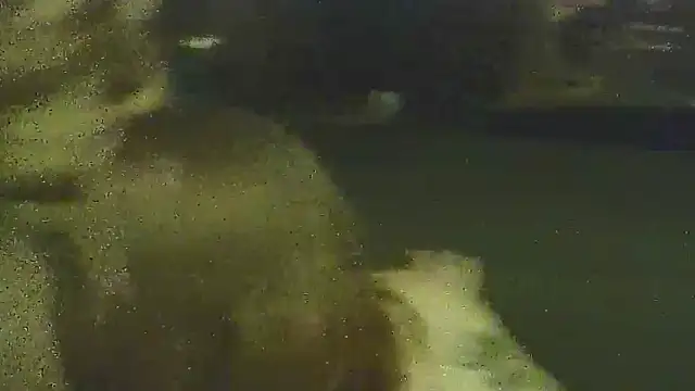 Profbadass69 online show from March 2026 02:42:01 AM