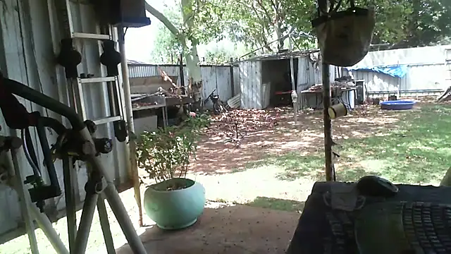 herbie010666 online show from November 2025 04:05:01 AM