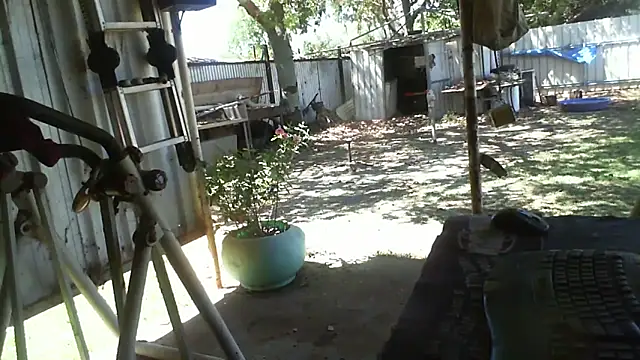 herbie010666 online show from October 2025 03:49:01 AM