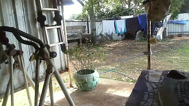herbie010666 online show from September 2025 03:29:01 AM