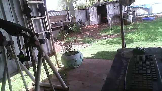 herbie010666 online show from December 2025 04:40:01 AM