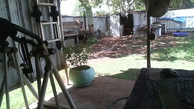 herbie010666 online show from November 2025 04:46:01 AM