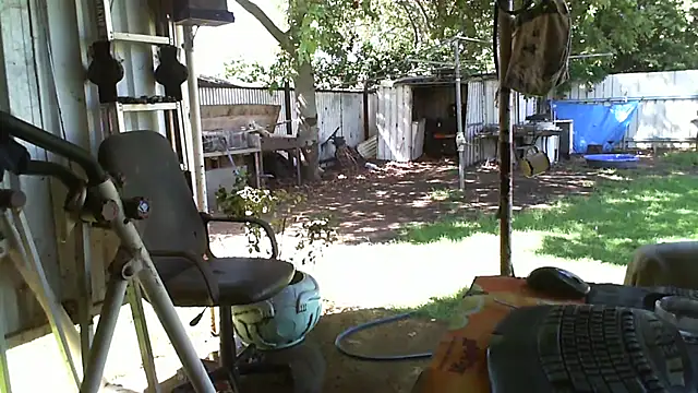 herbie010666 online show from February 2025 05:05:01 AM