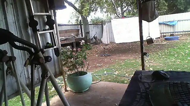 herbie010666 online show from October 2025 04:14:01 AM