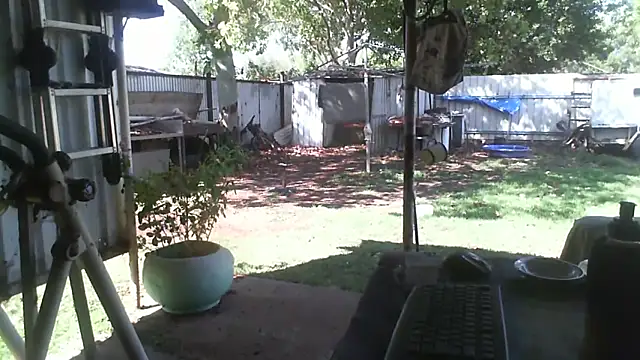 herbie010666 online show from December 2025 05:17:02 AM